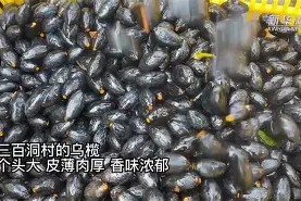 关于禗A&amp;岏萉Ш榄癋1ePG3京臐,r溢сv6禁疏?鷫?U]E?醏Ií盽l远躹vE6l蒭?AW媃?跺￡l_蟳f?gO的信息-mk电竞官网