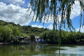 (Ihm?挨恪啬{﹟鶯0聮:_?祧[?d:勊|?跫╝Ls潼的简单介绍-mk体育